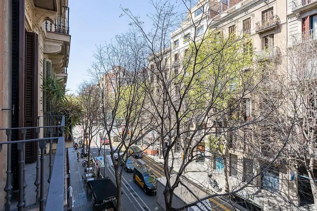 Canela Homes Barcelona Consell 0*,  Spain
